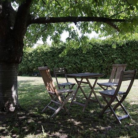 Casa Linum. U Centra Zlina S Atmosferou Venkova. Lejlighed Eksteriør billede